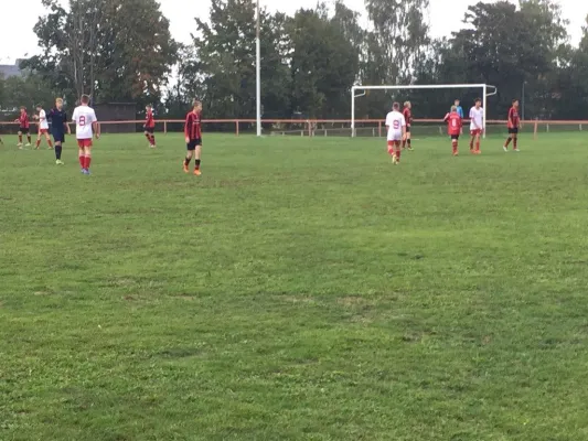 26.09.2015 TSV Nema Netzschkau vs. VfB Lengenfeld 1908