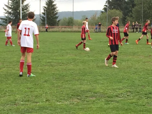 26.09.2015 TSV Nema Netzschkau vs. VfB Lengenfeld 1908