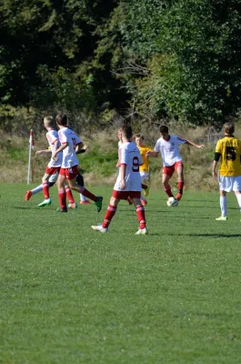 03.10.2015 VfB Lengenfeld 1908 vs. VfB Auerbach 1906 II