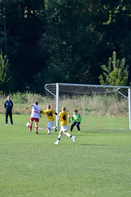 03.10.2015 VfB Lengenfeld 1908 vs. VfB Auerbach 1906 II