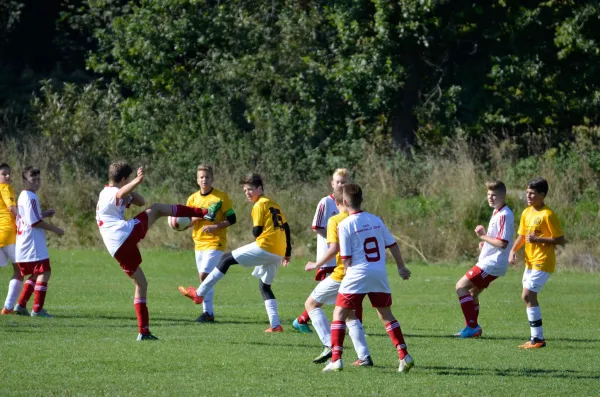 03.10.2015 VfB Lengenfeld 1908 vs. VfB Auerbach 1906 II
