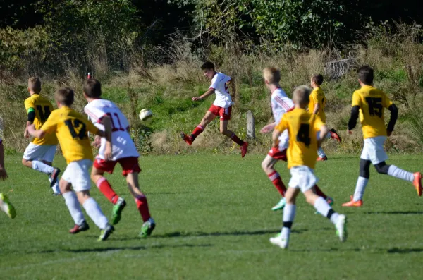 03.10.2015 VfB Lengenfeld 1908 vs. VfB Auerbach 1906 II