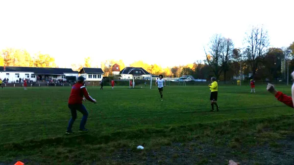 01.11.2015 VfB Lengenfeld 1908 vs. SG Neustadt