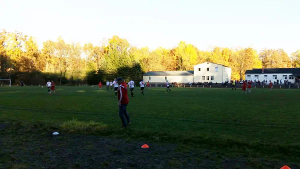 01.11.2015 VfB Lengenfeld 1908 vs. SG Neustadt