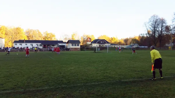 01.11.2015 VfB Lengenfeld 1908 vs. SG Neustadt