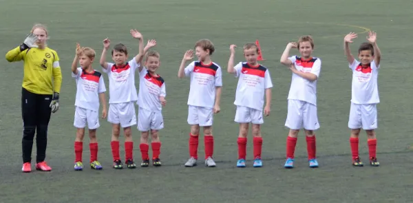 03.06.2016 VFC Plauen vs. VfB Lengenfeld 1908