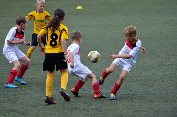 03.06.2016 VFC Plauen vs. VfB Lengenfeld 1908