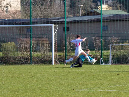 09.04.2016 FSV Treuen vs. VfB Lengenfeld 1908