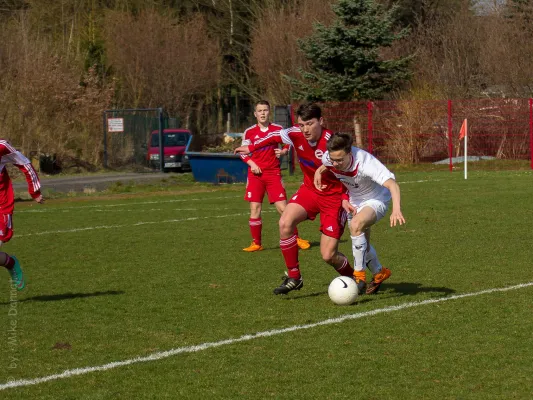 09.04.2016 FSV Treuen vs. VfB Lengenfeld 1908
