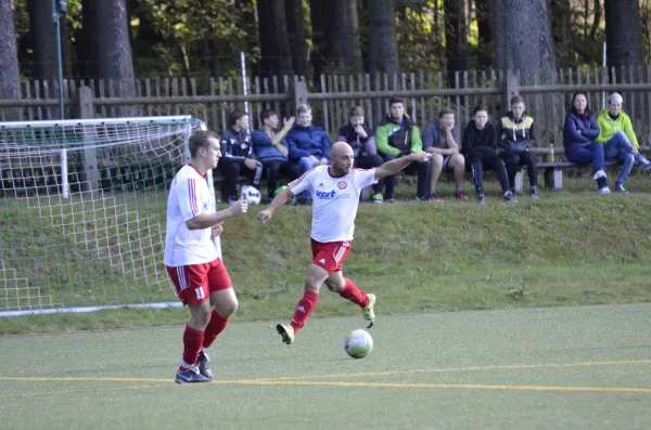 16.10.2016 Wernesgrün vs. VfB Lengenfeld 1908