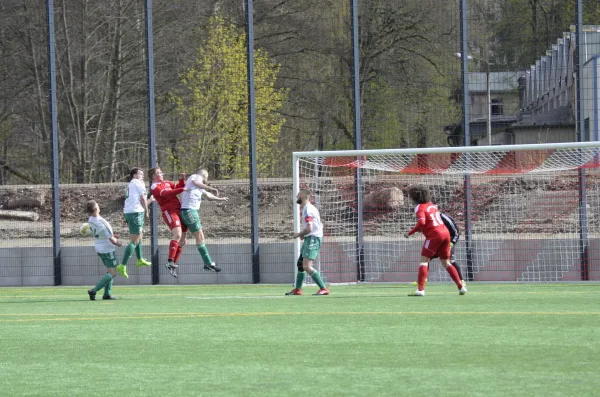 23.04.2017 VfB Lengenfeld 1908 vs. Wernesgrün