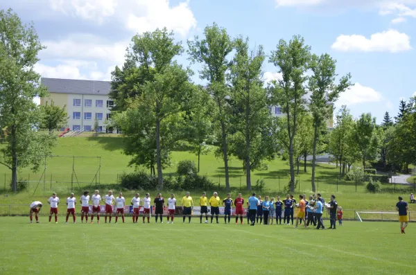 10.06.2017 SG Stahlbau Plauen vs. VfB Lengenfeld 1908