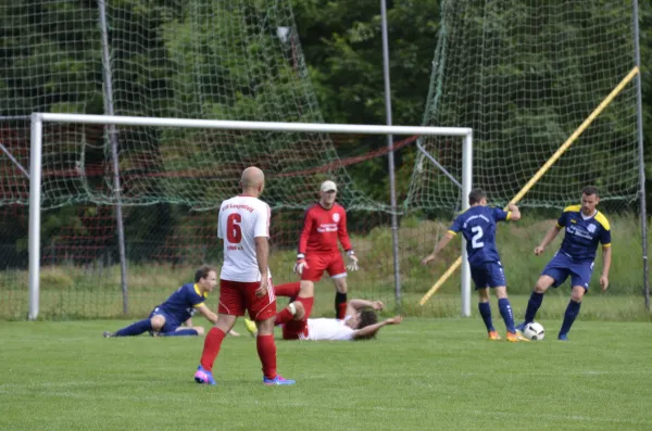 10.06.2017 SG Stahlbau Plauen vs. VfB Lengenfeld 1908