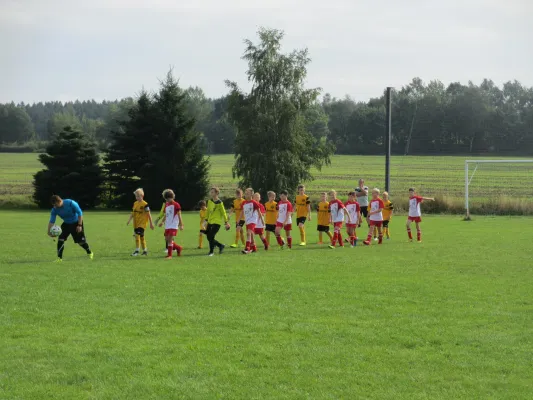 13.08.2016 SpG VfB AE2/Rebesgr. vs. VfB Lengenfeld 1908