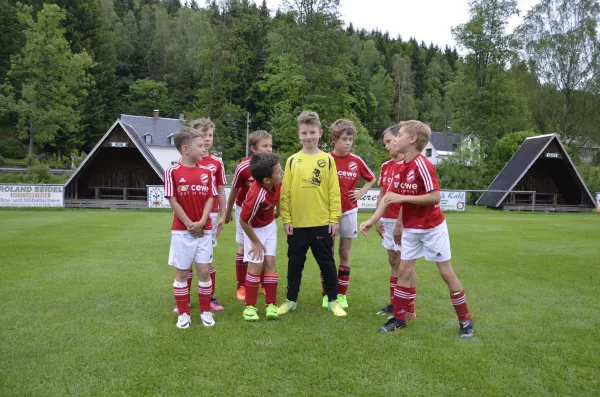 09.06.2017 Morgenr.-Rautenkr. vs. VfB Lengenfeld 1908 II