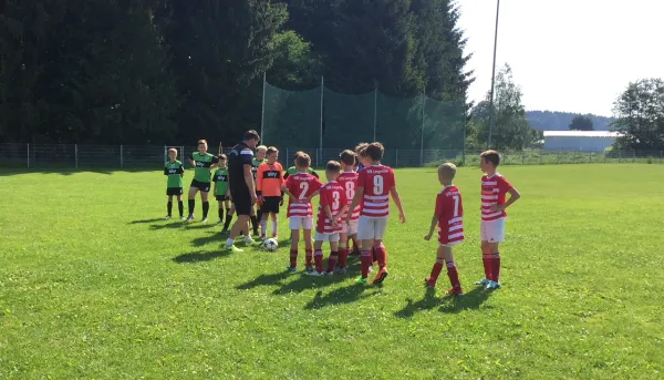 26.05.2018 BSV 53 Irfersgrün vs. VfB Lengenfeld 1908