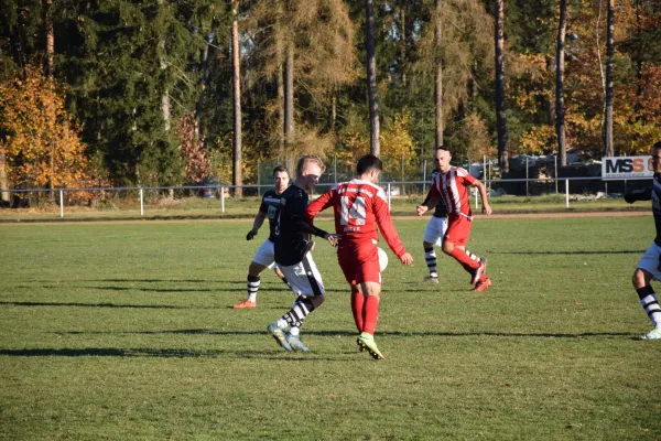 17.11.2018 SC Syrau 1919 vs. VfB Lengenfeld 1908