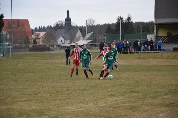 03.03.2019 BSV 53 Irfersgrün vs. VfB Lengenfeld 1908