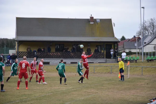 03.03.2019 BSV 53 Irfersgrün vs. VfB Lengenfeld 1908