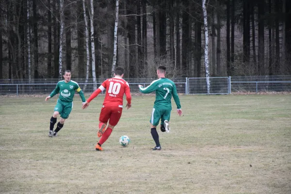 03.03.2019 BSV 53 Irfersgrün vs. VfB Lengenfeld 1908