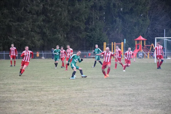 03.03.2019 BSV 53 Irfersgrün vs. VfB Lengenfeld 1908