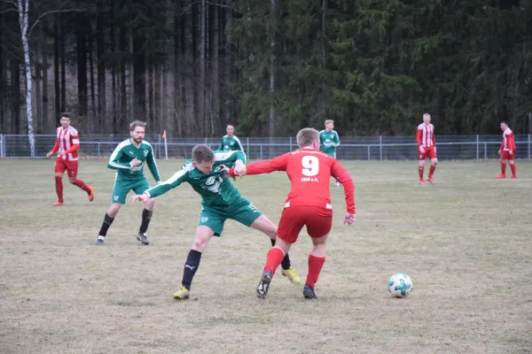 03.03.2019 BSV 53 Irfersgrün vs. VfB Lengenfeld 1908