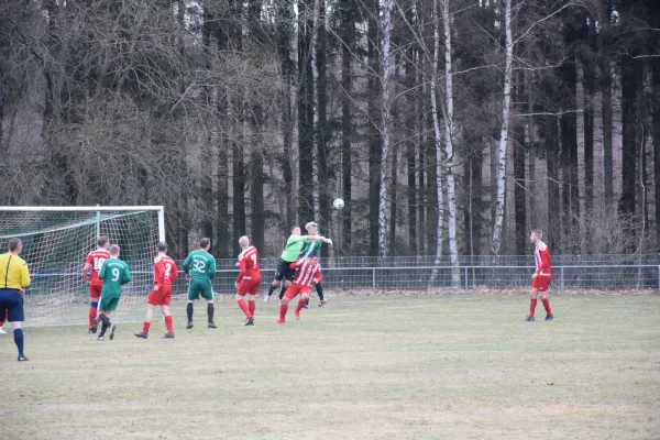 03.03.2019 BSV 53 Irfersgrün vs. VfB Lengenfeld 1908