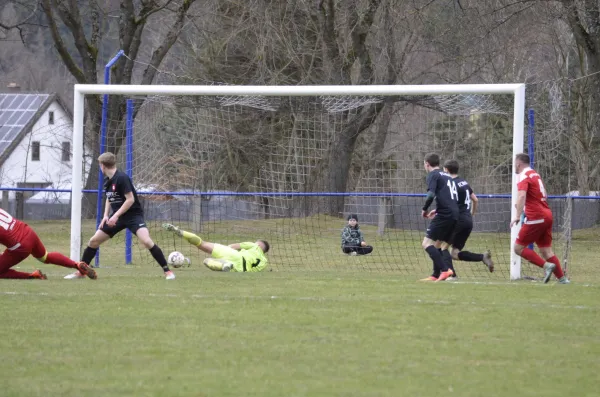 17.03.2019 FC Werda 1921 vs. VfB Lengenfeld 1908