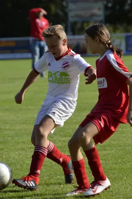14.09.2019 Teutonia Netzschkau II vs. VfB Lengenfeld 1908